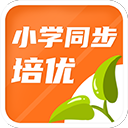 姚易之後最高起點
！楊瀚森在16順位被選中 究竟是運氣還是實力�？