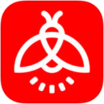 衣錦還鄉！庫明加一身淺藍色西裝返回金沙薩 接受高規格接待